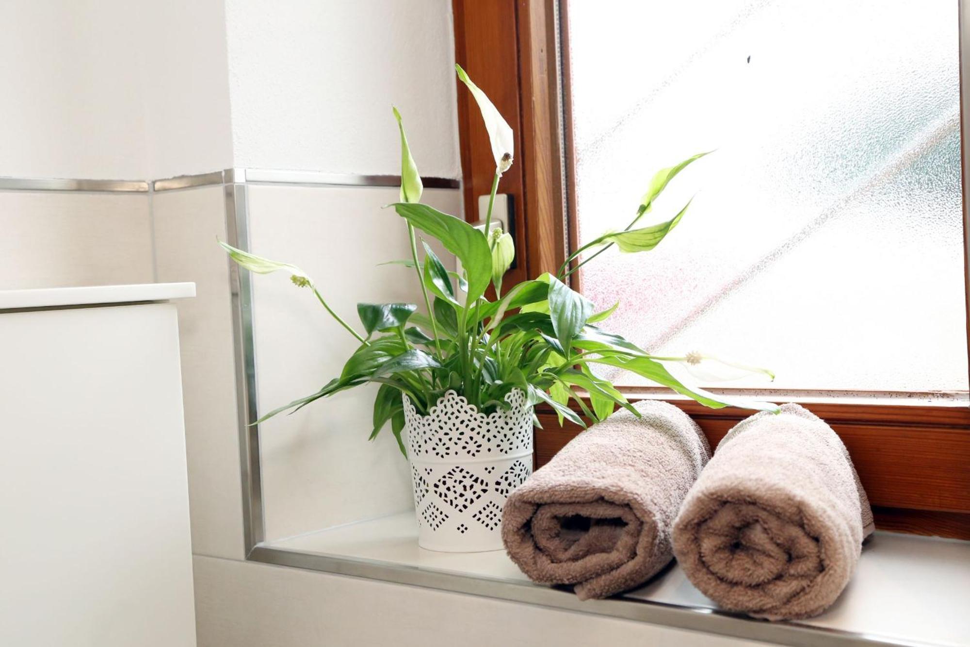 Appartement Schwarzwaldstueble Oberharmersbach Luaran gambar