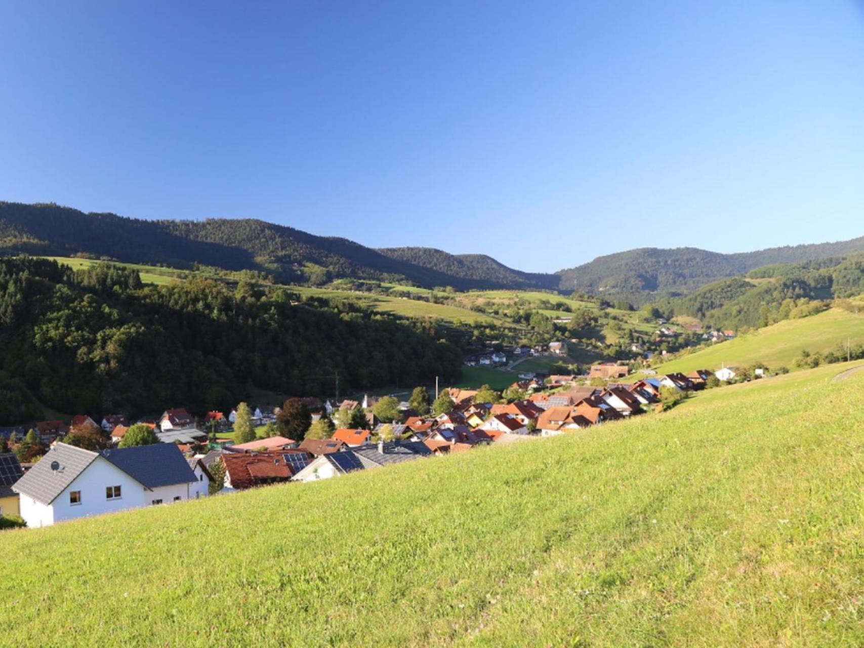 Appartement Schwarzwaldstueble Oberharmersbach Luaran gambar