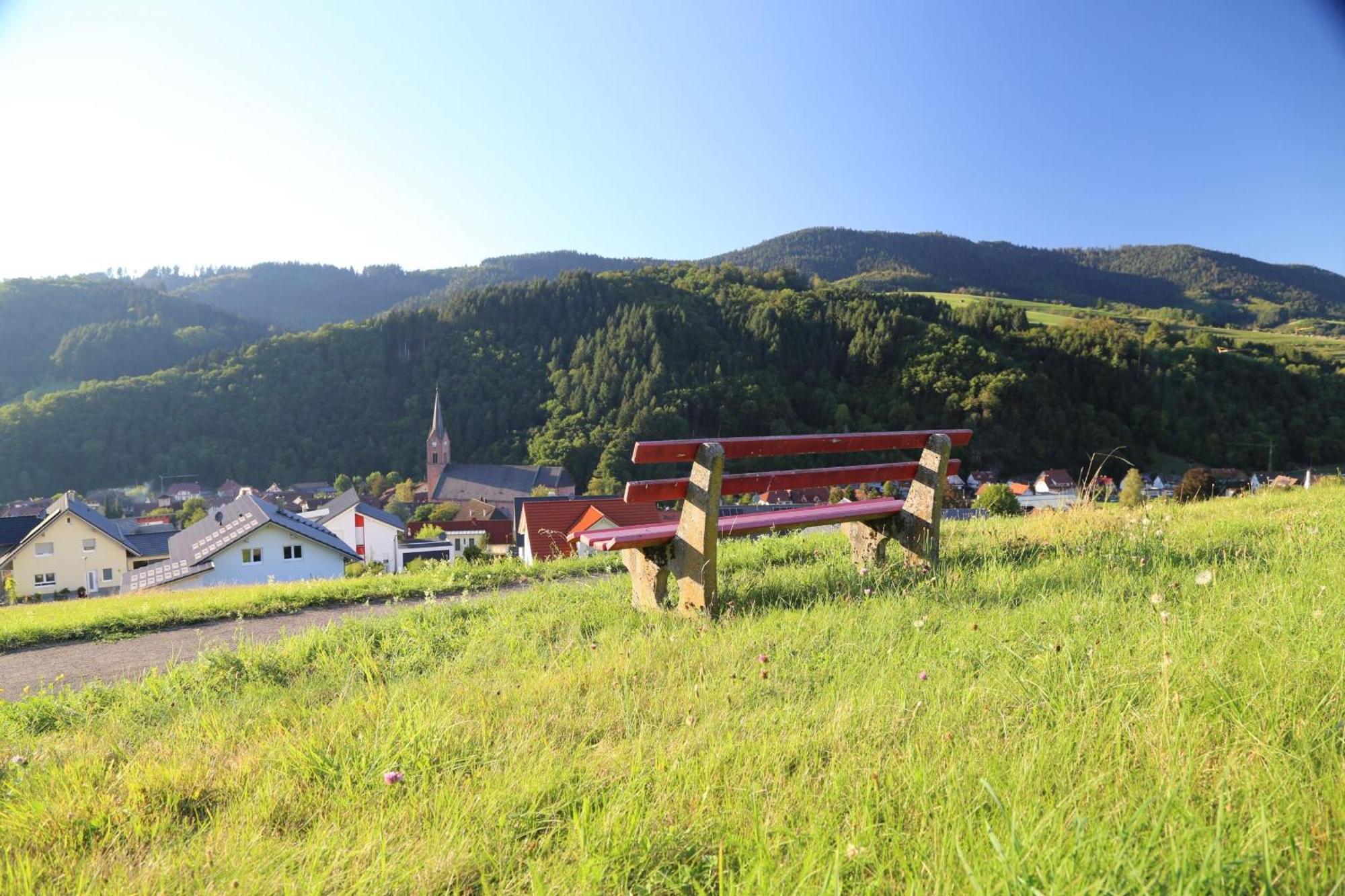 Appartement Schwarzwaldstueble Oberharmersbach Luaran gambar